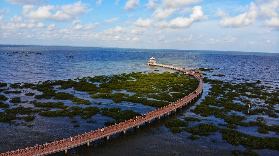 фото "sea and bridge" метки: пейзаж, путешествия, sea, summer, sun, Азия, вода, закат, осень
