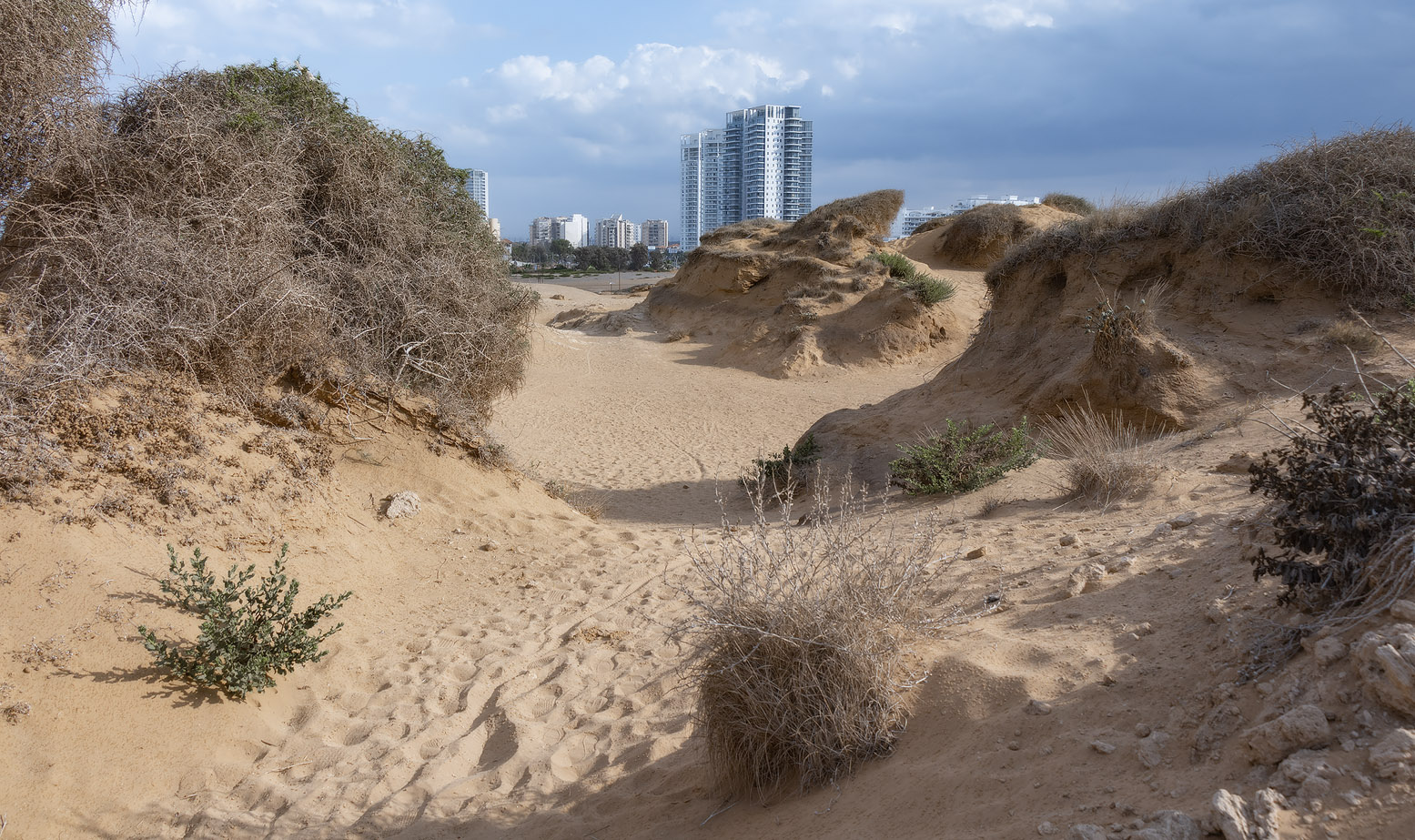 photo "***" tags: landscape, city, nature, Israel, песок, хадера