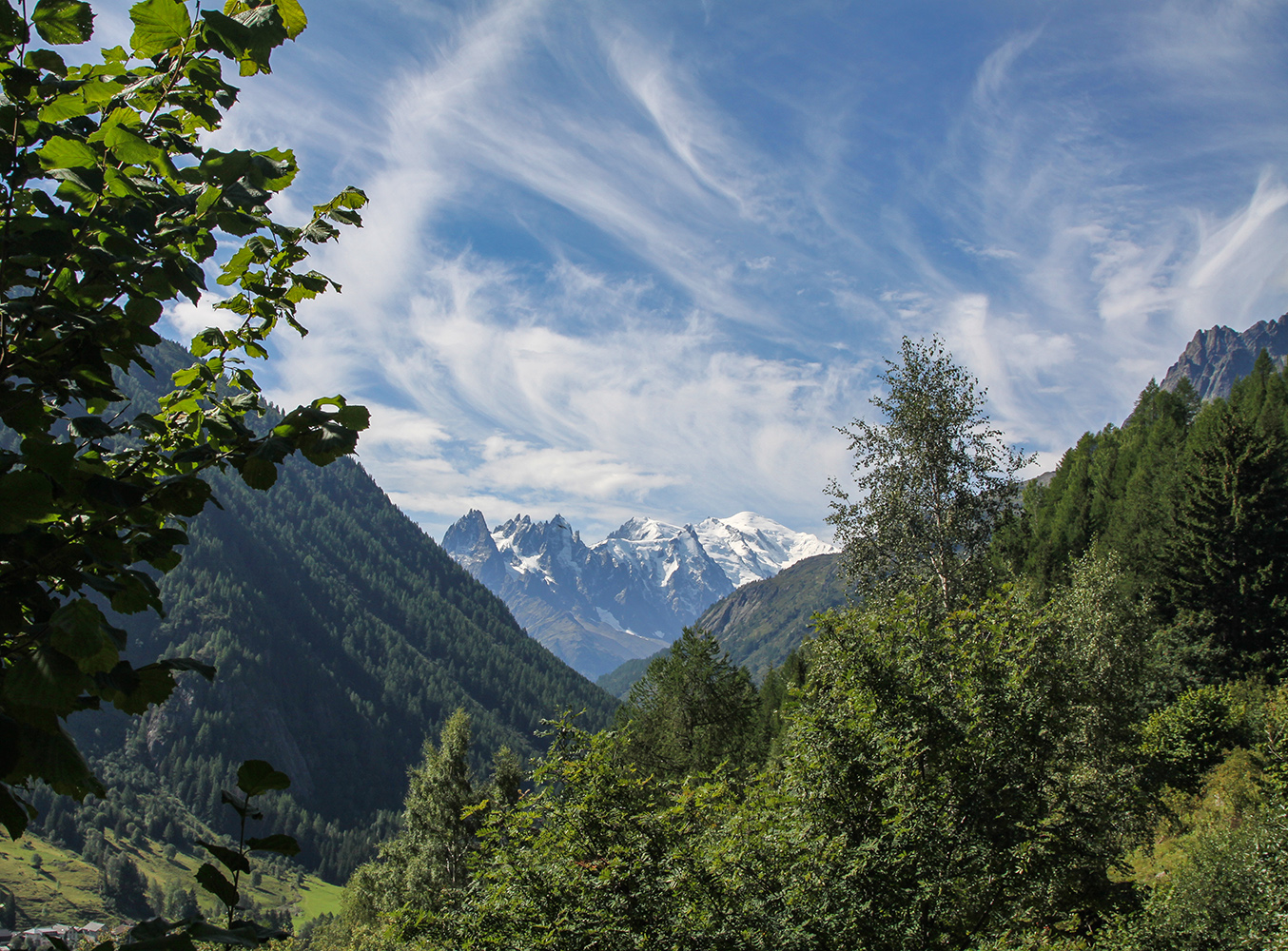 photo "картина белым..." tags: , 