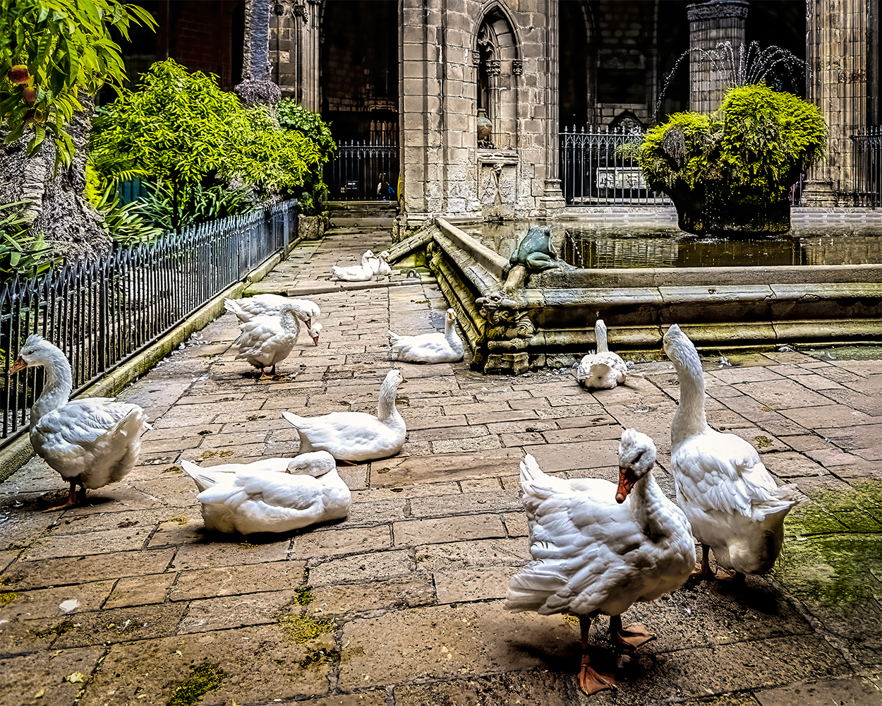 photo "Geese Live Well There" tags: misc., 
