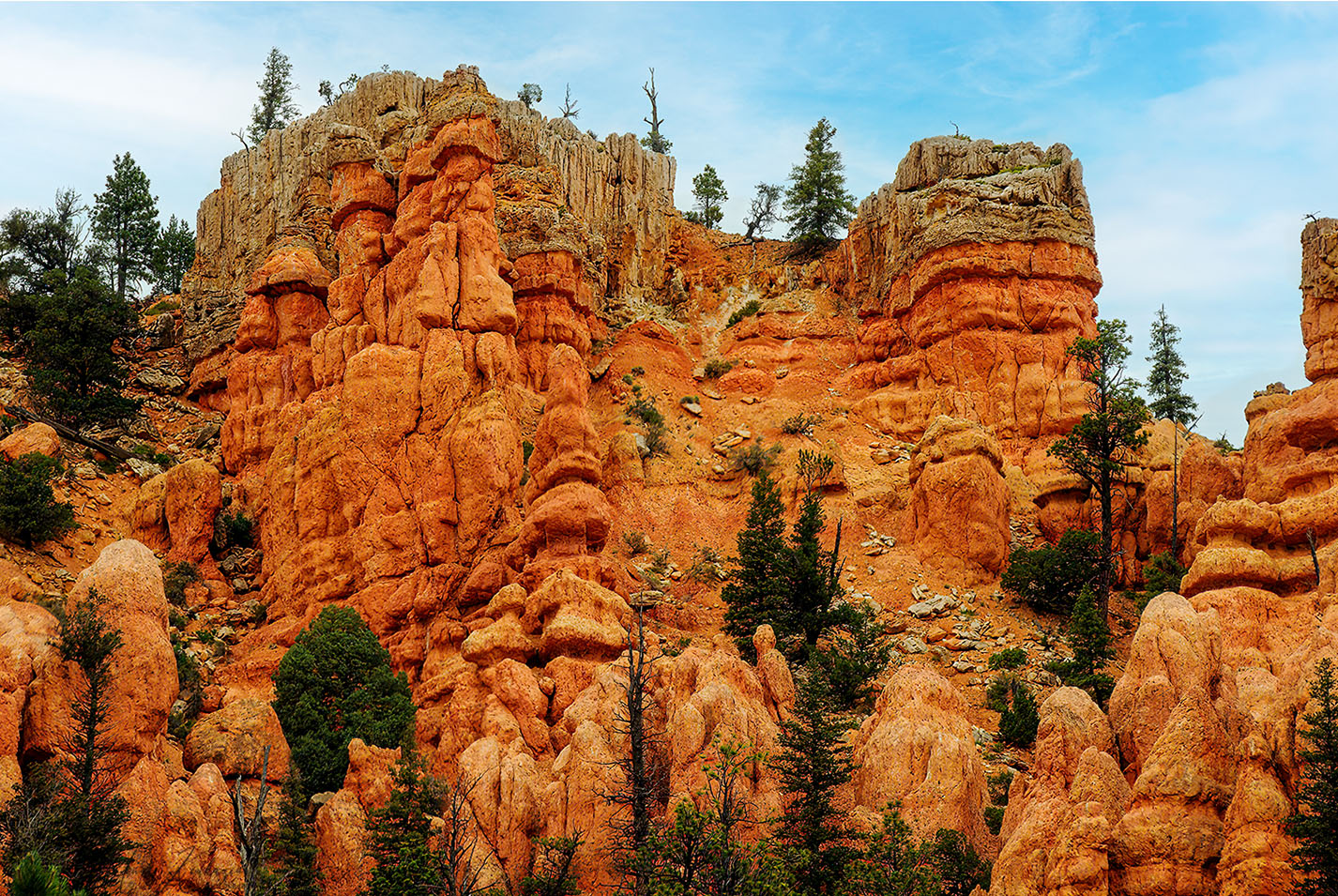 фото "Red Canyon, Utah" метки: пейзаж, природа, путешествия, Red Canyon