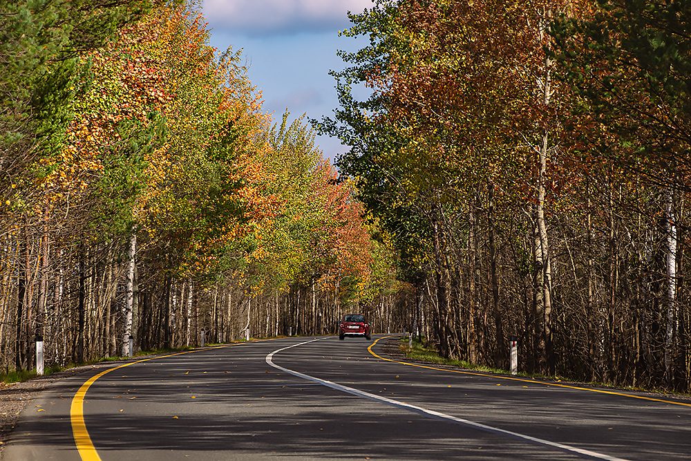 photo "***" tags: nature, travel, misc., Russia, autumn, авто