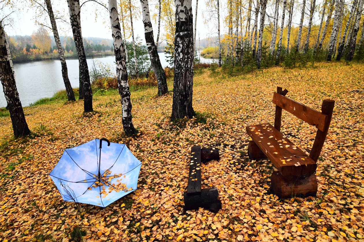 фото "Голубой зонт на золотых листьях" метки: природа, пейзаж, желтые листья, зонт, лес, осень, парк, скамья