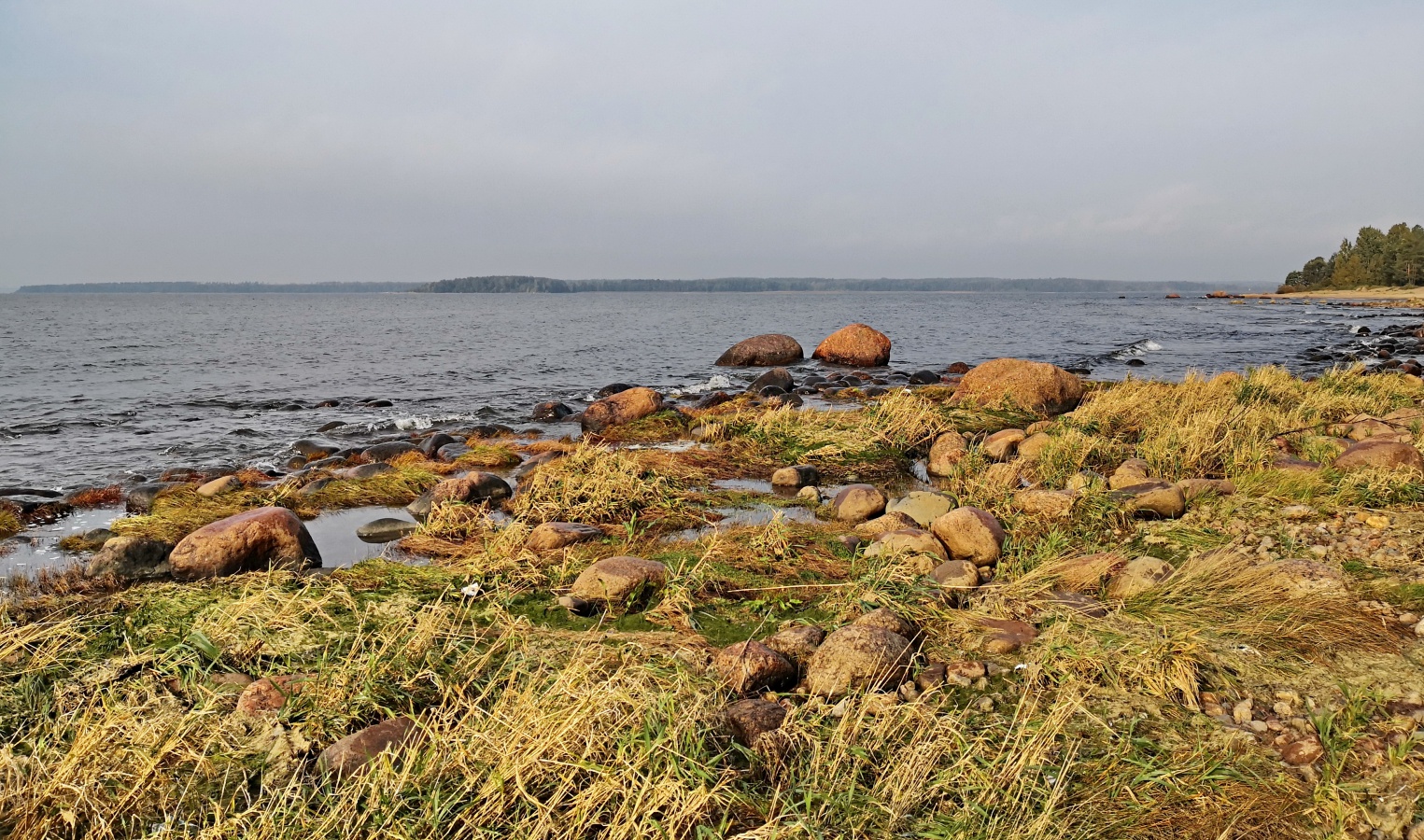 фото "Финский залив. Берег северный" метки: путешествия, 