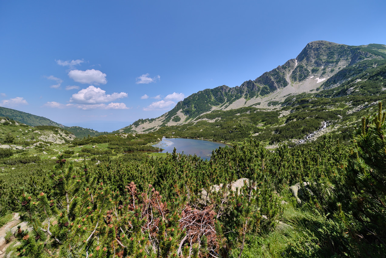 photo "***" tags: landscape, nature, 