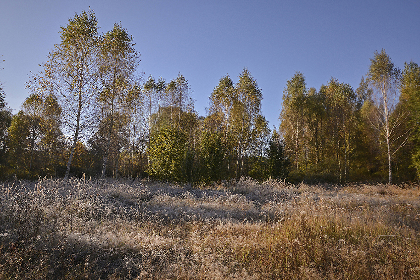 photo "***" tags: landscape, autumn, hoarfrost, morning