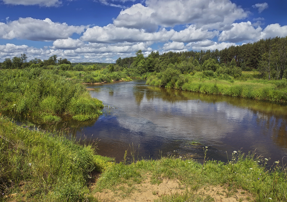 photo "***" tags: landscape, nature, clouds, coast, grass, reflections, river, sky, summer, water, глубинка, деревья