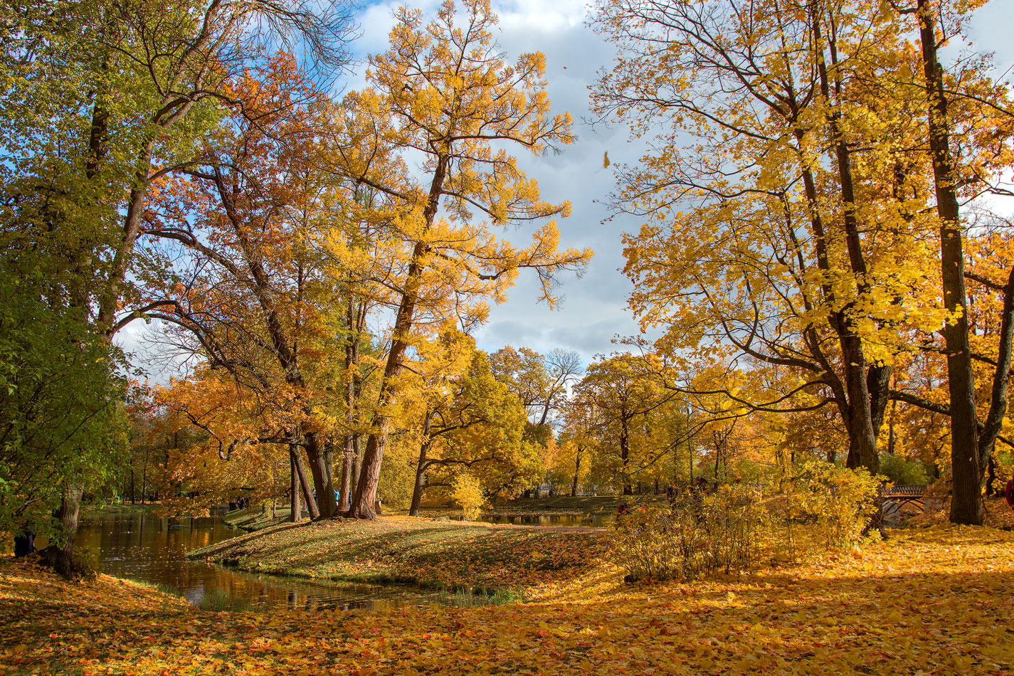 фото "Осенняя зарисовка в Царкосельском парке" метки: пейзаж, природа, осень, царское село