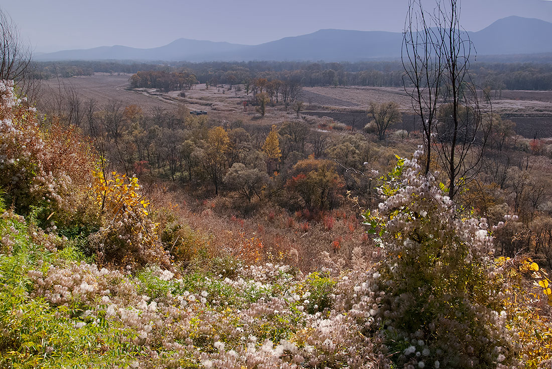 фото "Осенние одуванчики" метки: пейзаж, природа, горы, осень