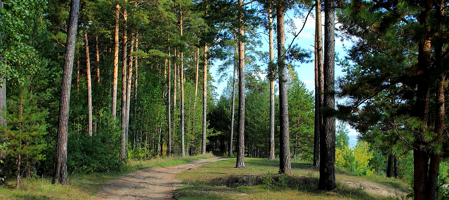 фото "....." метки: пейзаж, 