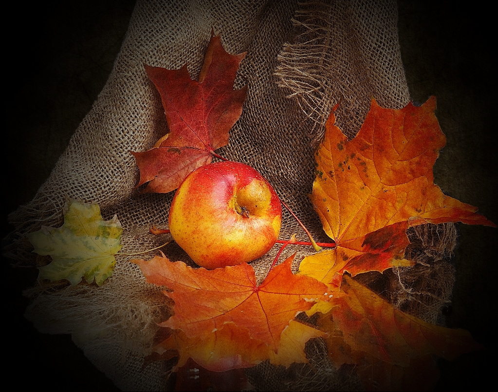 photo "***" tags: still life, листья, октябрь, яблоко