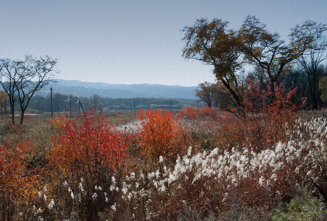 фото "Осенняя палитра" метки: пейзаж, природа, осень