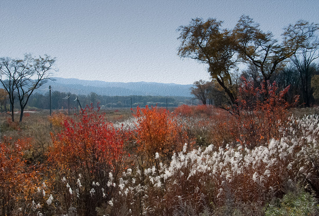 photo "***" tags: landscape, nature, autumn