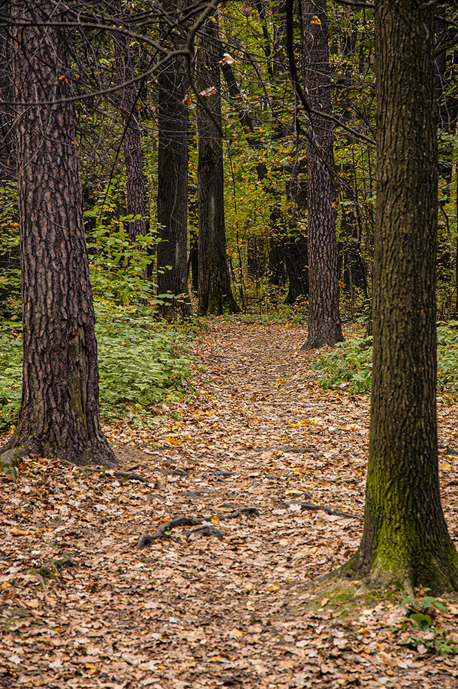 photo "***" tags: landscape, 