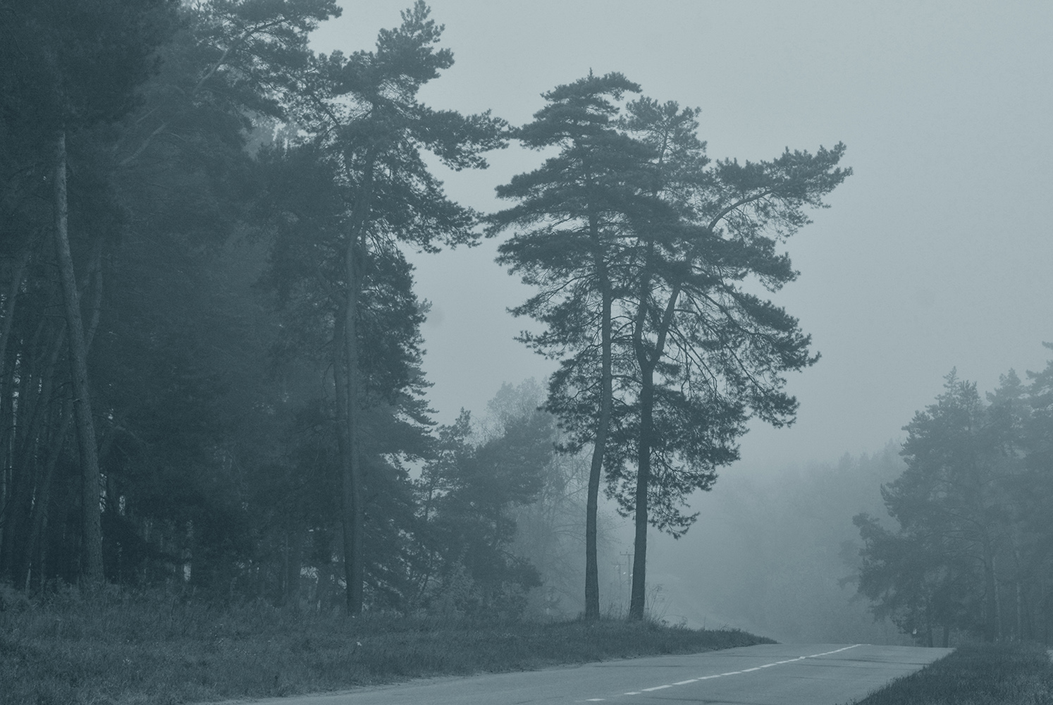 photo "***" tags: landscape, fog, forest, morning, road