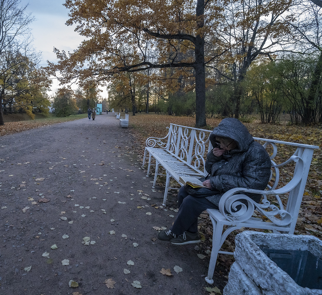 photo "В Александровском парке" tags: street, 