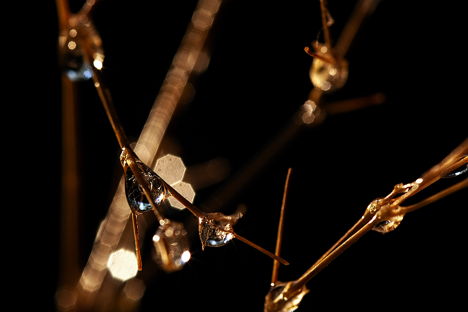 фото "***" метки: , 