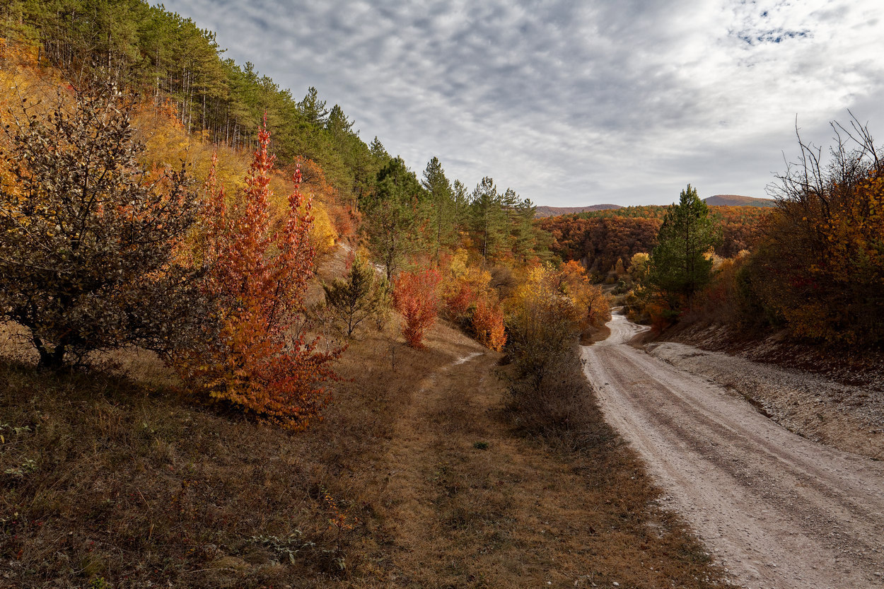 photo "***" tags: landscape, nature, 