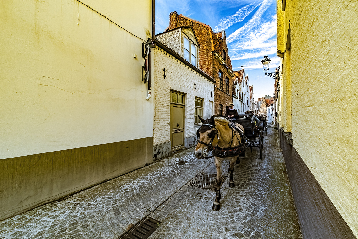 photo "Boring Horse Work" tags: street, 