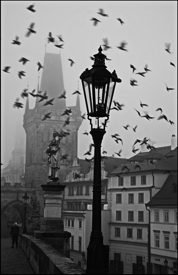 фото "Птицы" метки: черно-белые, архитектура, Prag Prague Praha
