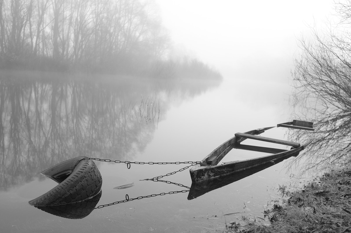 photo "***" tags: nature, fog