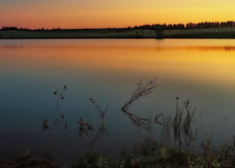 photo "***" tags: , grass, pond, reflections, sunset