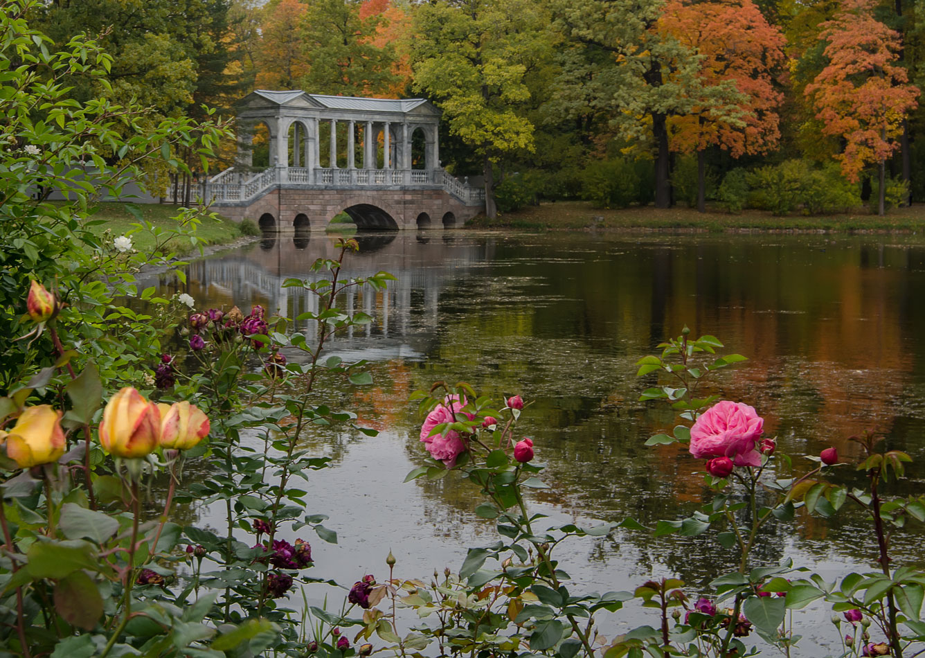 фото "Осень в парке Царского села" метки: пейзаж, архитектура, природа, вечер, вода, парк, царское село