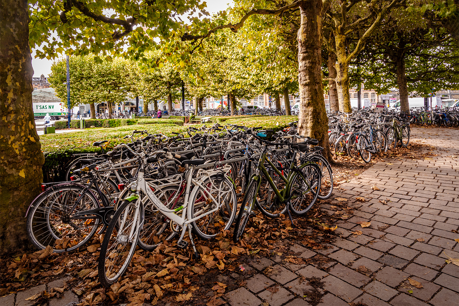 photo "Bicycle Victory" tags: street, 