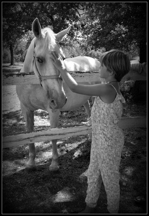 фото "***" метки: черно-белые, 