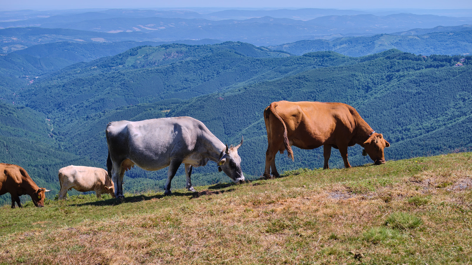 photo "***" tags: landscape, nature, 