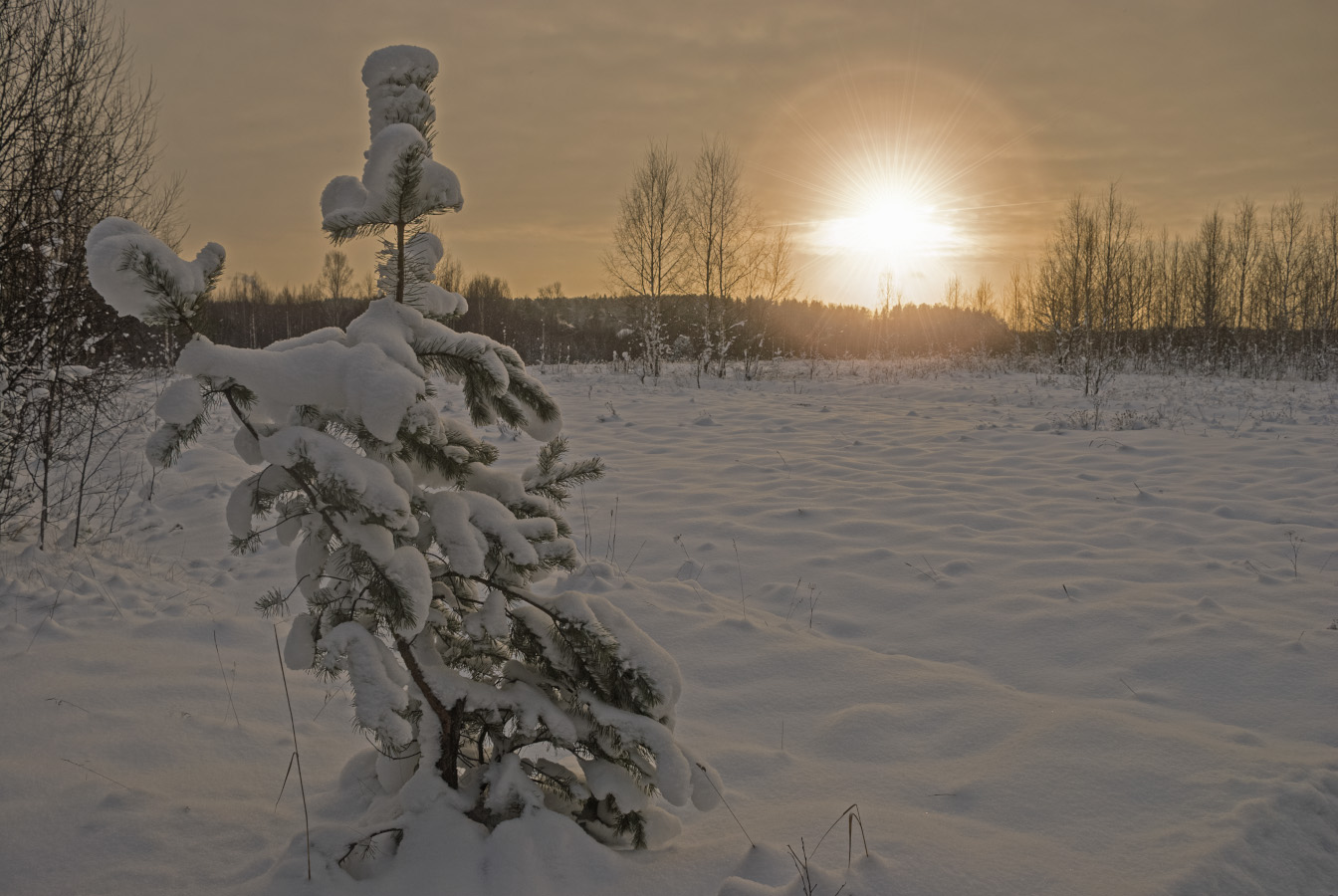 фото "морозит однако..." метки: пейзаж, 