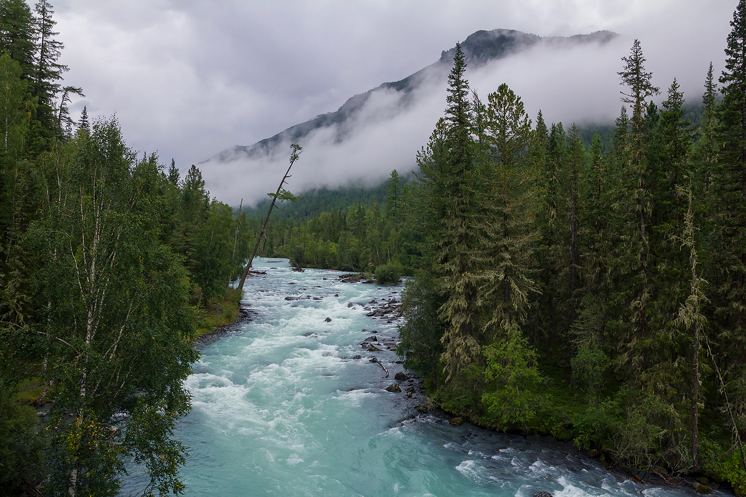 photo "Foggy morning" tags: landscape, travel, nature, Altai, Kucherla, fog, fog, river, Алтай, Кучерла