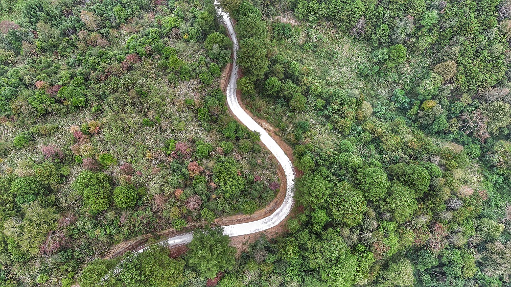 photo "forest and road" tags: travel, nature, landscape, Asia, forest, lake, mountains, night, sunset, winter