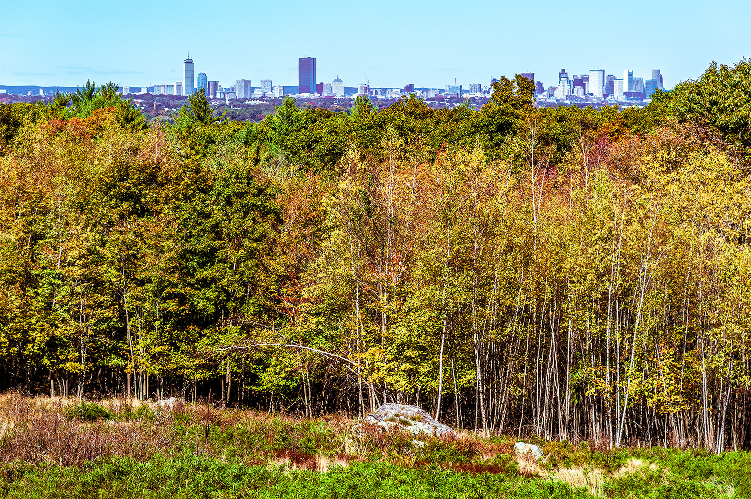 photo "Boston on the Horizon" tags: misc., 