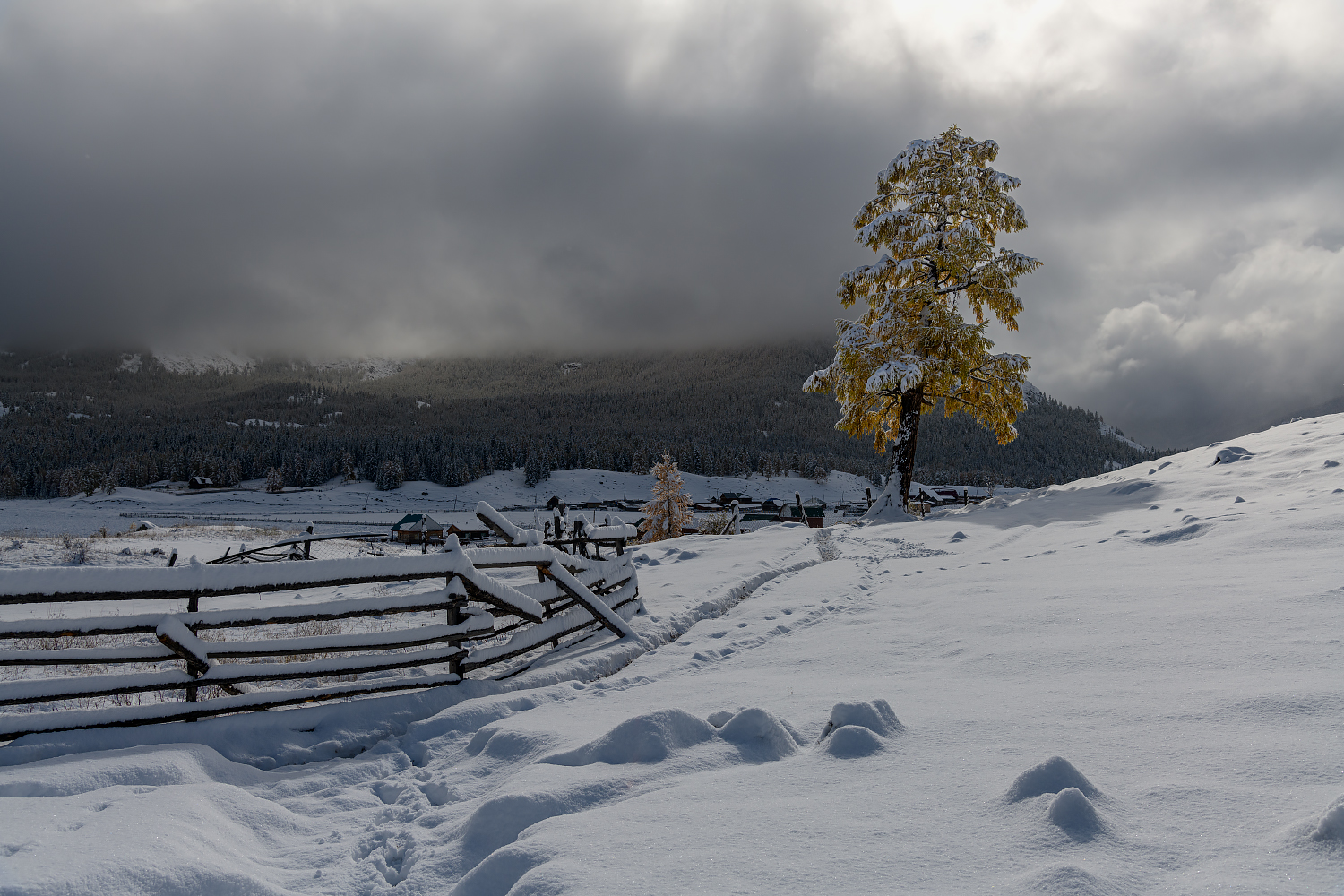 фото "Зима на Алтае" метки: пейзаж, путешествия, Алтай, зима, путешествие