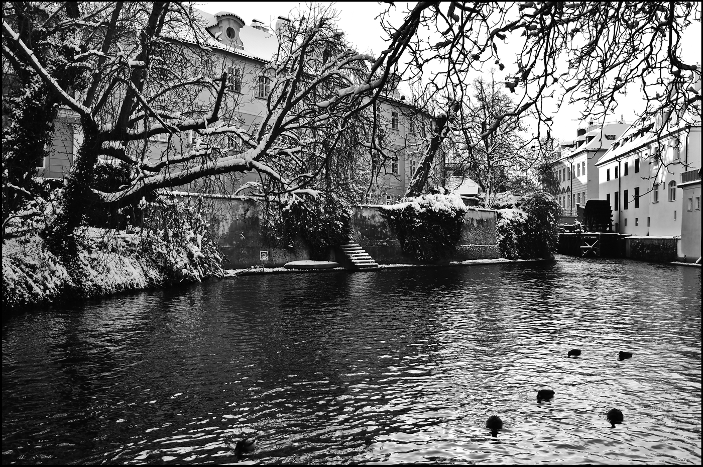 photo "Зимняя Чертовка" tags: black&white, Prag Prague Praha