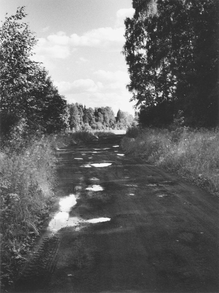 фото "Просёлок (3)" метки: , 