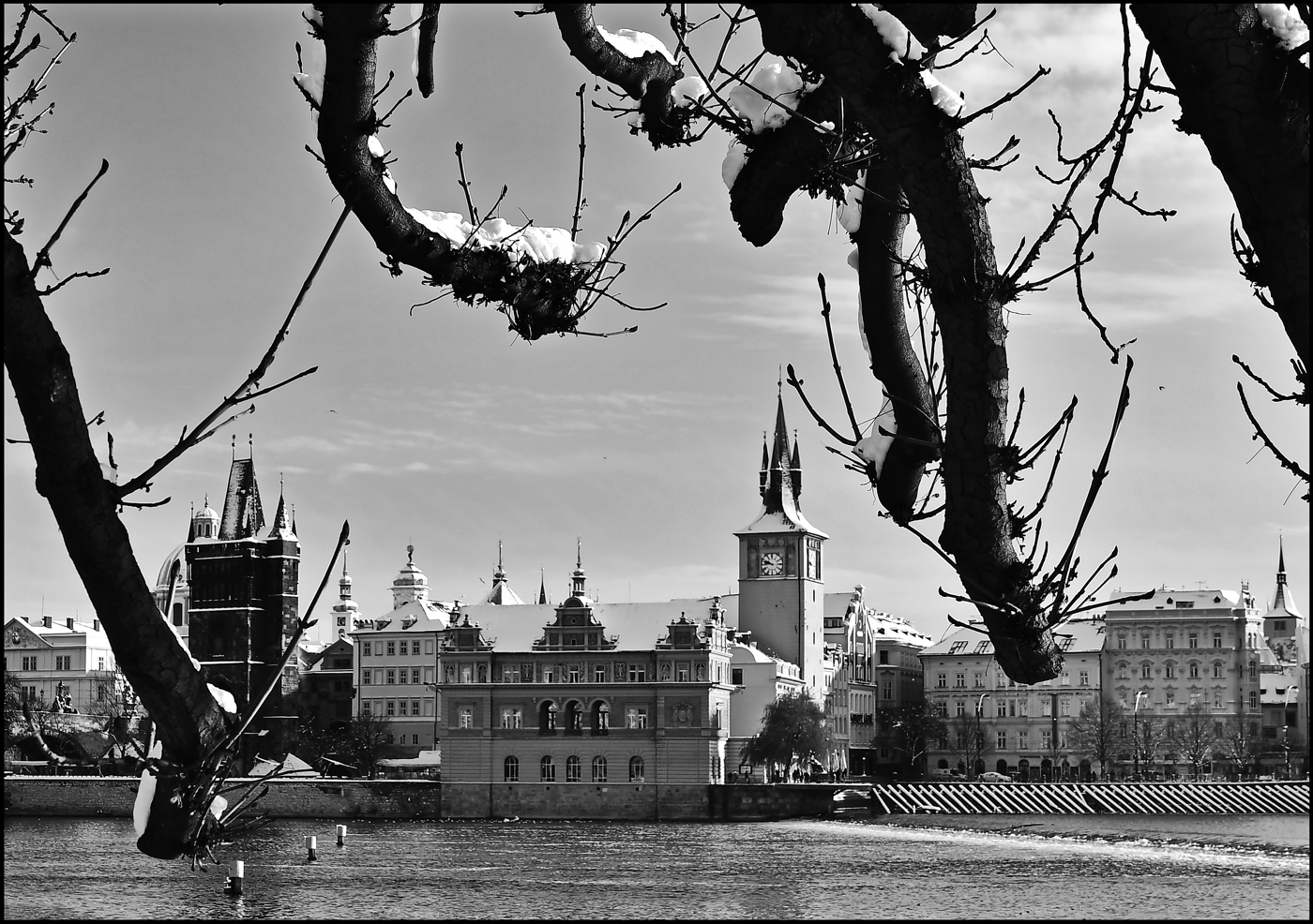 фото "Башни, дома и ветви" метки: черно-белые, архитектура, Prag Prague Praha