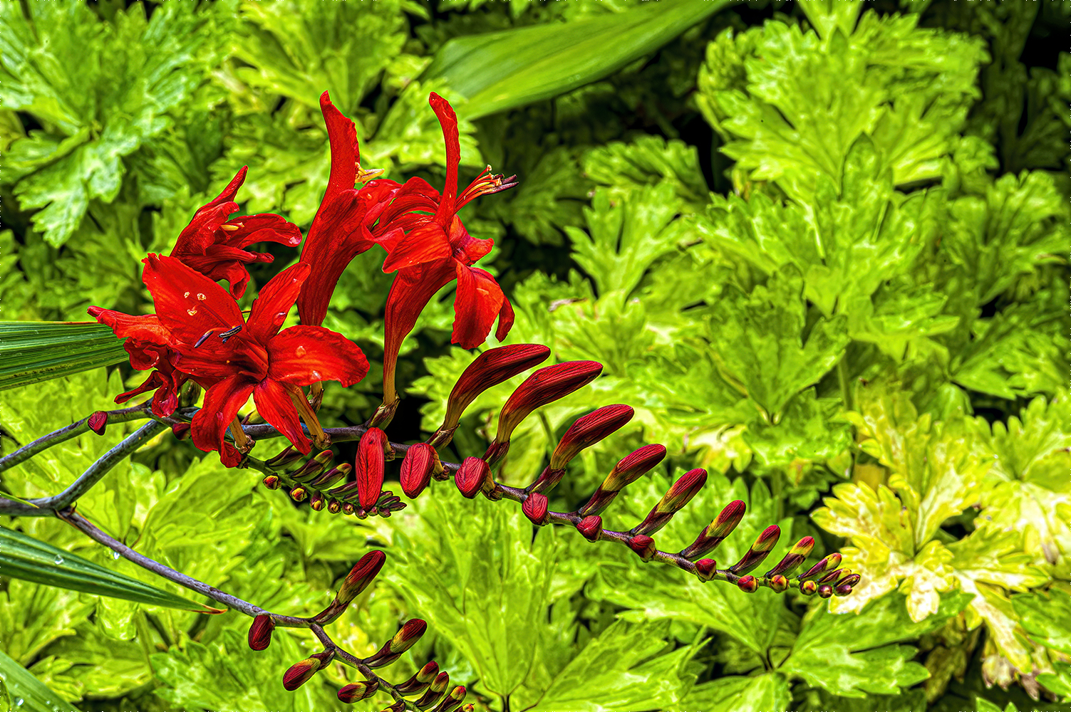photo "Color Contrasts" tags: nature, 