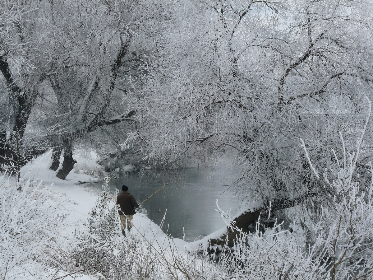 photo "***" tags: nature, winter