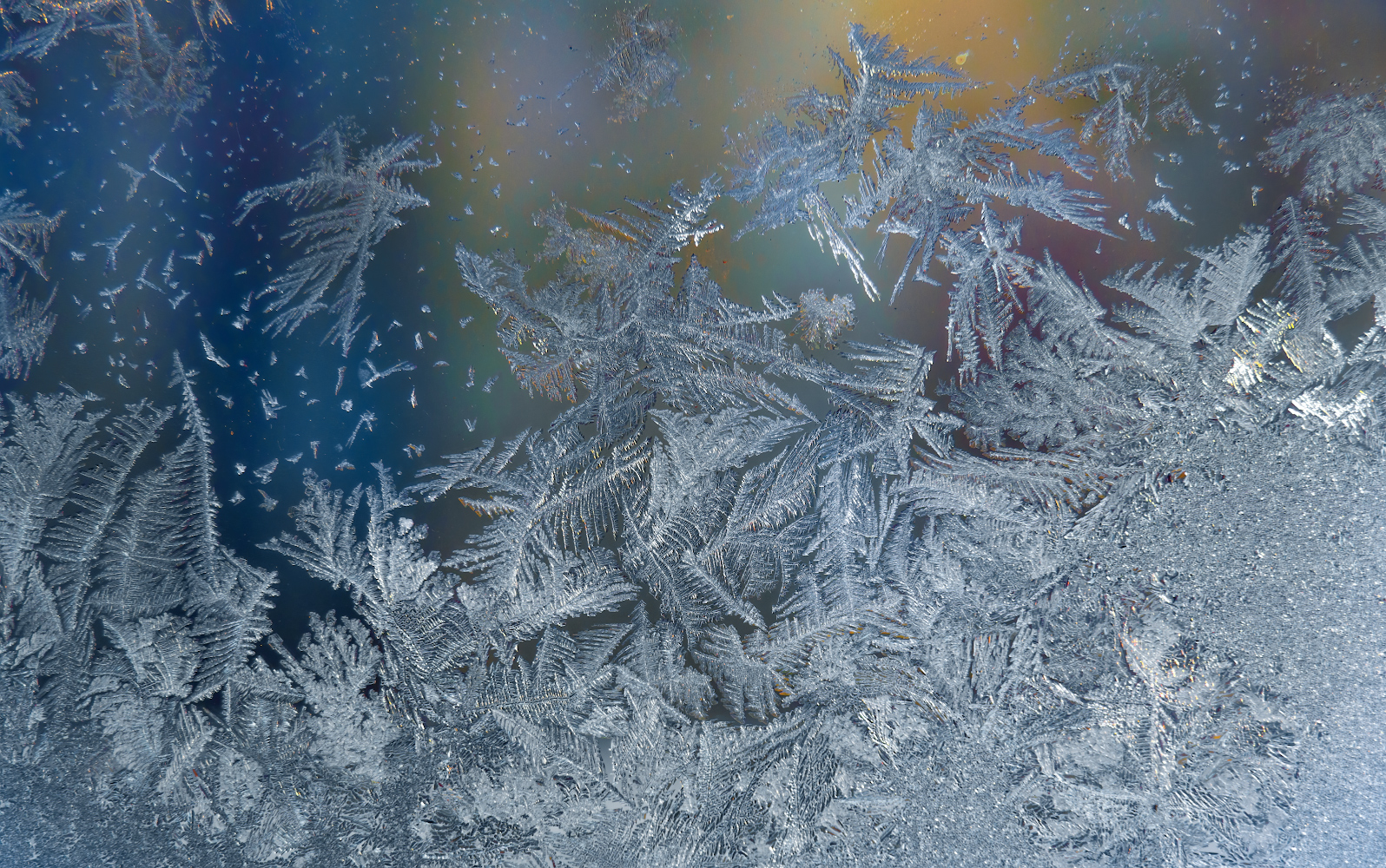 фото "Зимы-художницы причуды..." метки: природа, макро и крупный план, 