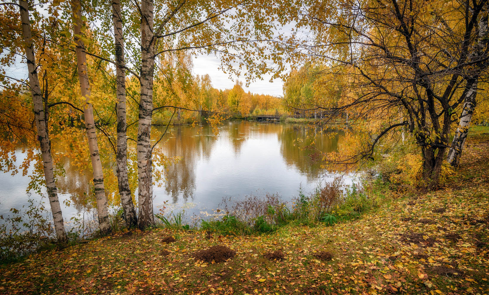 фото "Золотая осень" метки: пейзаж, 