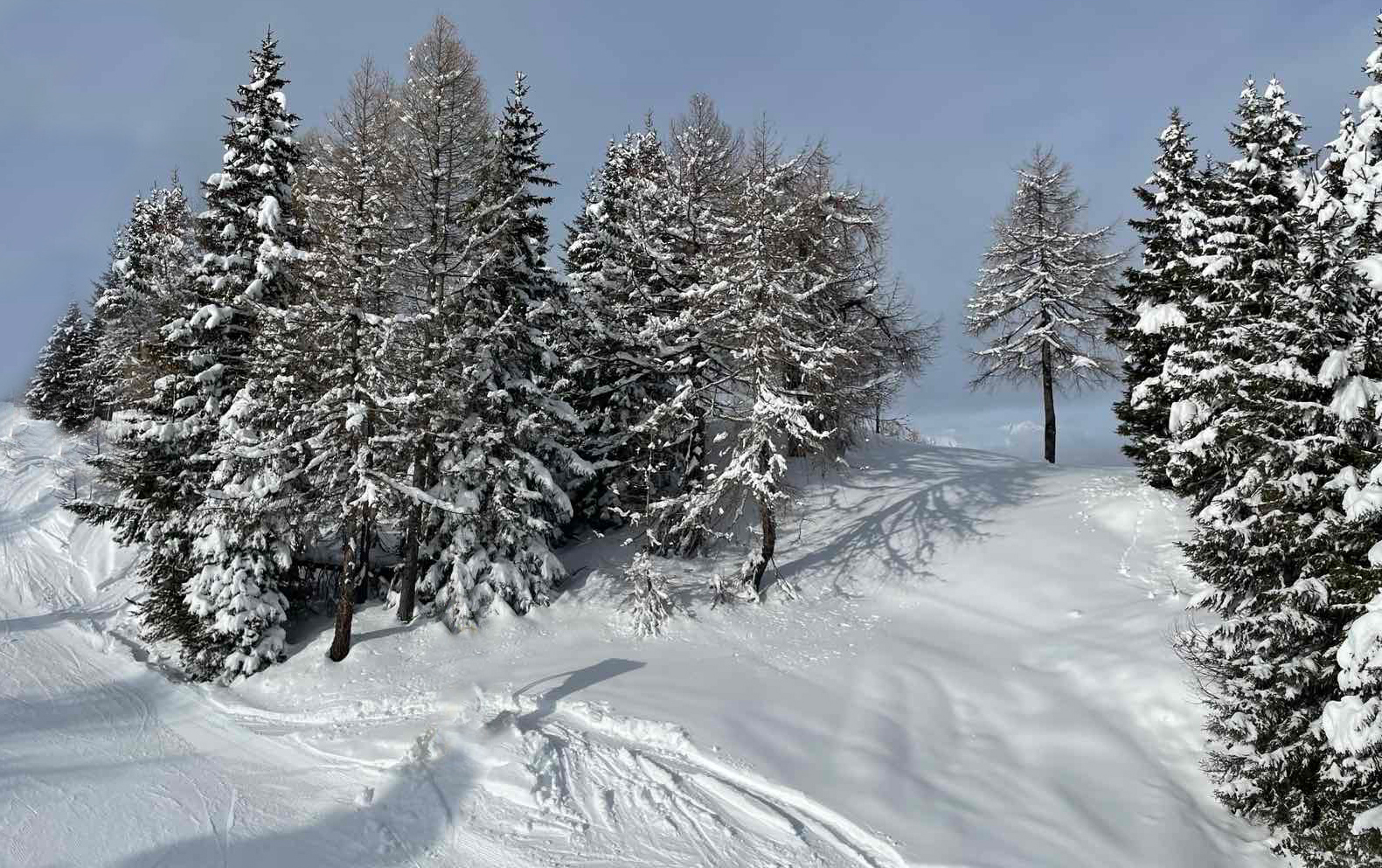photo "***" tags: nature, winter