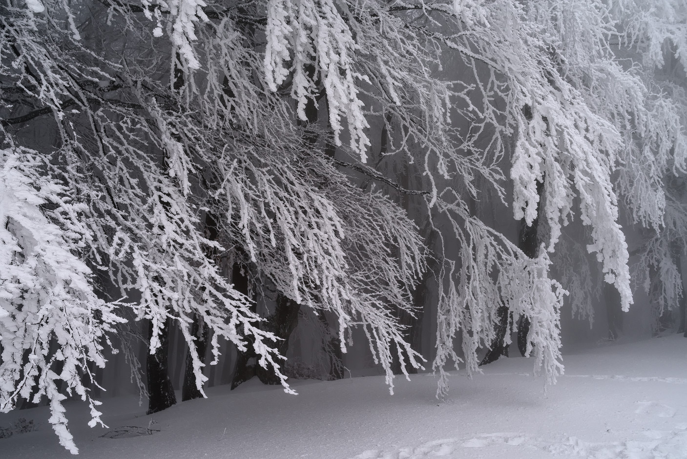 фото "***" метки: пейзаж, природа, 
