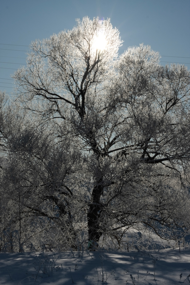 photo "***" tags: , 