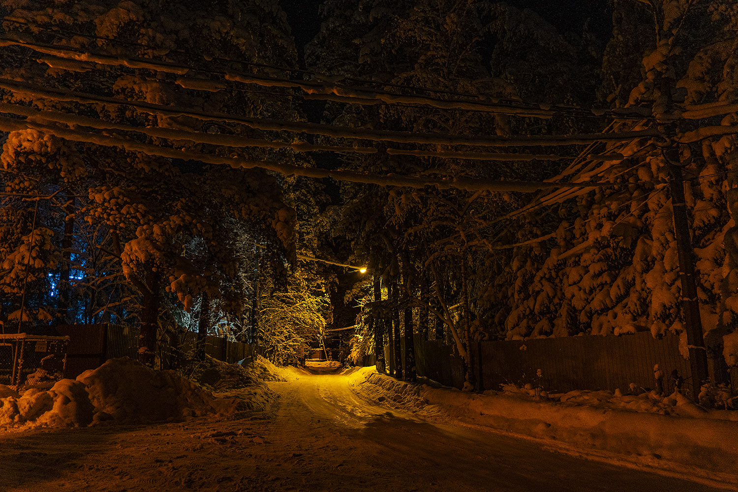 фото "Токсово" метки: природа, 