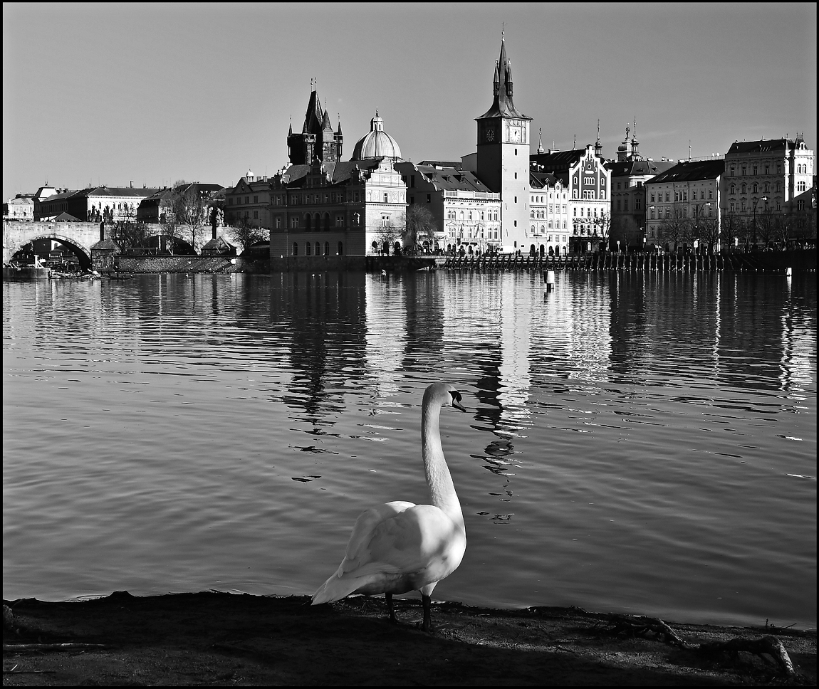 photo "На берегу острова-2" tags: black&white, architecture, Prag Prague Praha