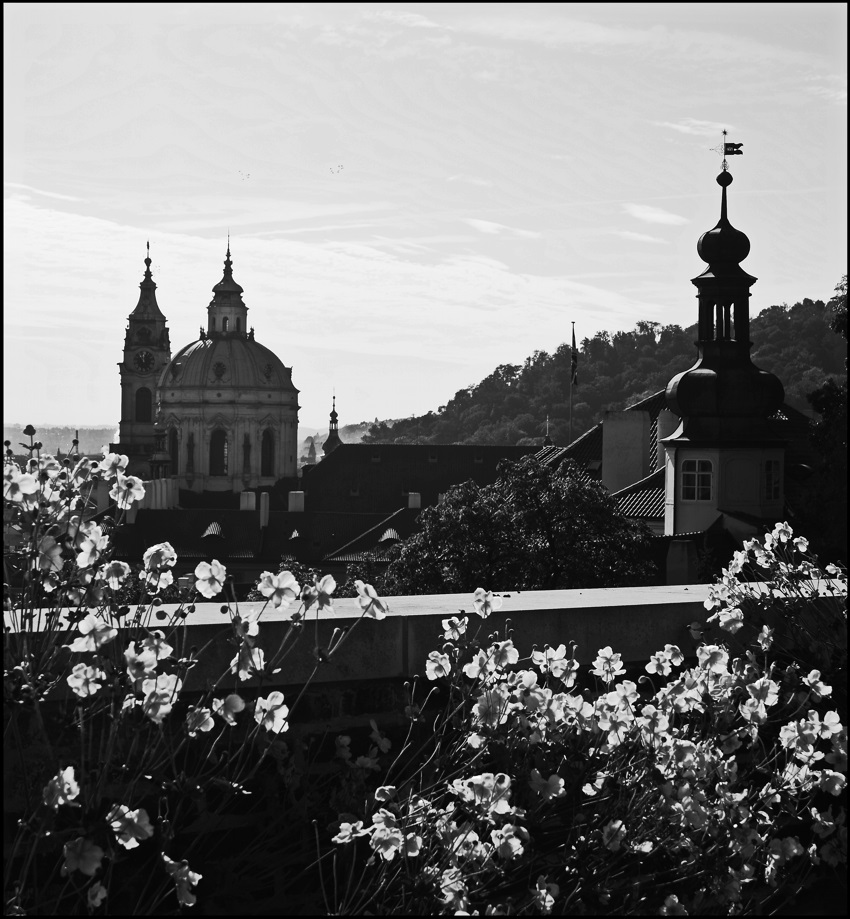 фото "Башни и цветы" метки: черно-белые, архитектура, Prag Prague Praha