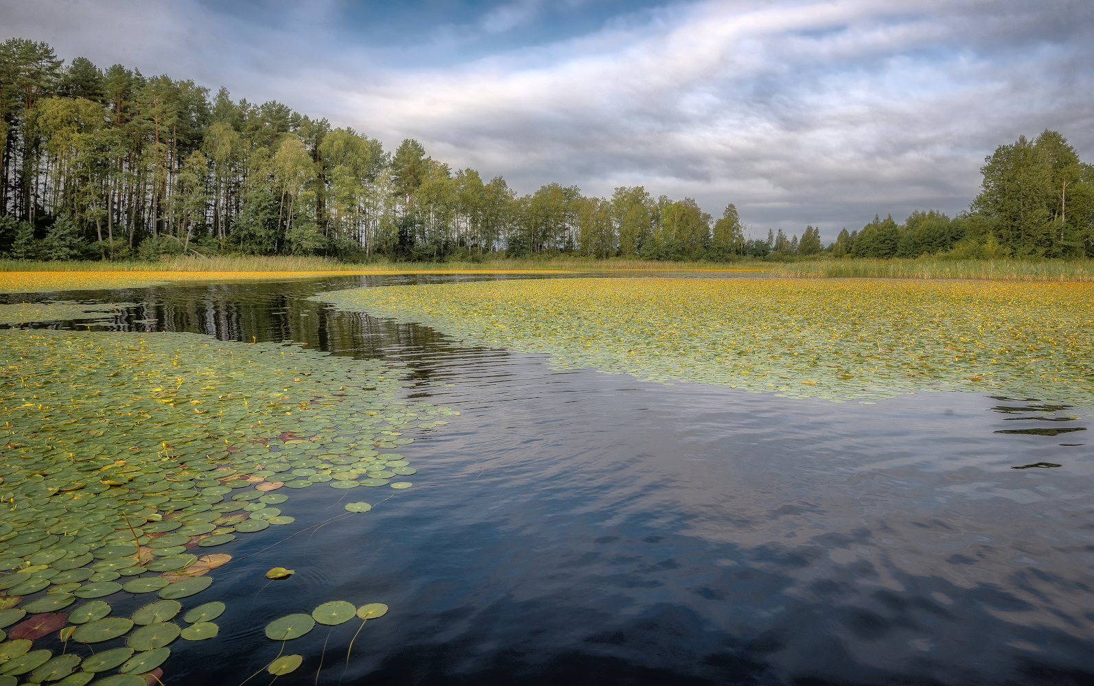 фото "***" метки: пейзаж, 