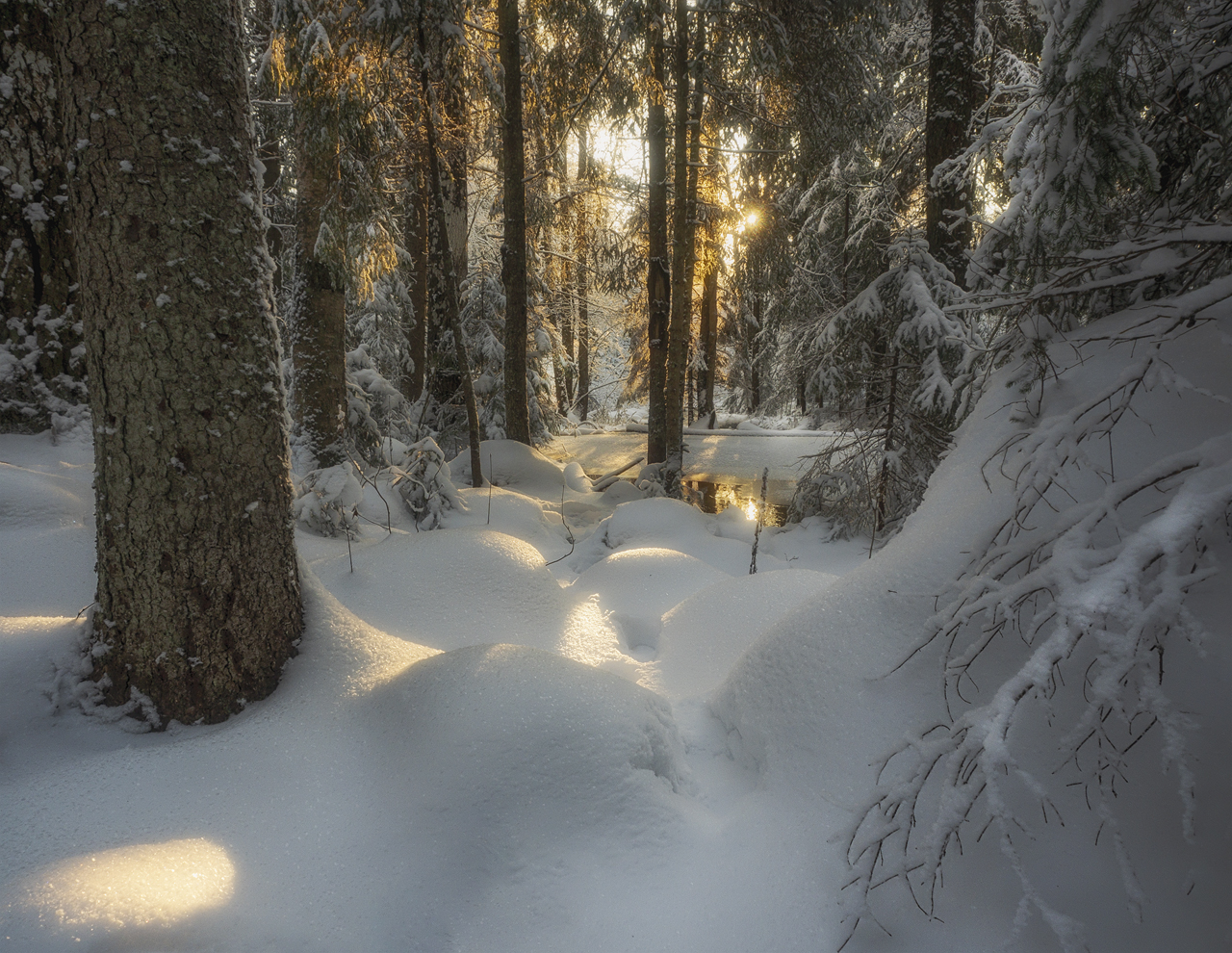 photo "***" tags: landscape, forest, snow, winter, дача